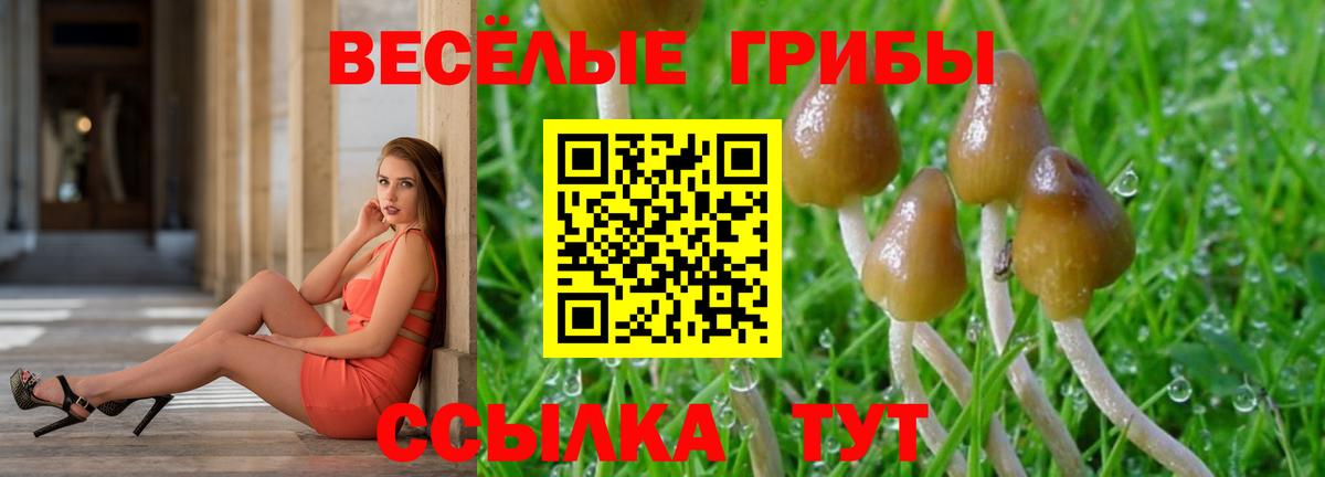 Орехово-Зуево  Псилоцибиновые грибы Magic Shrooms  Вход с VPN 